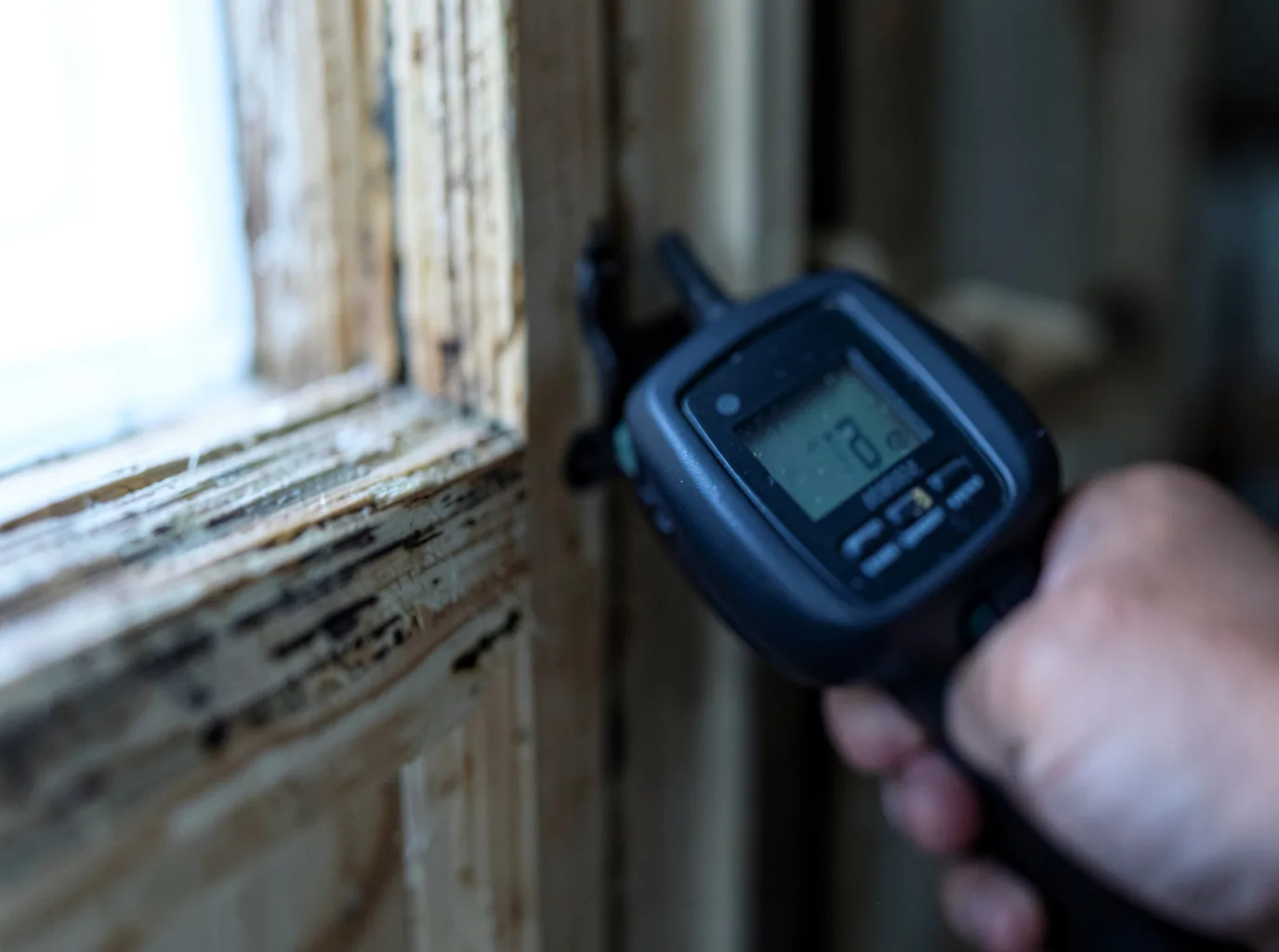 Moisture Inspection And Documentation in Mcdonald, TN